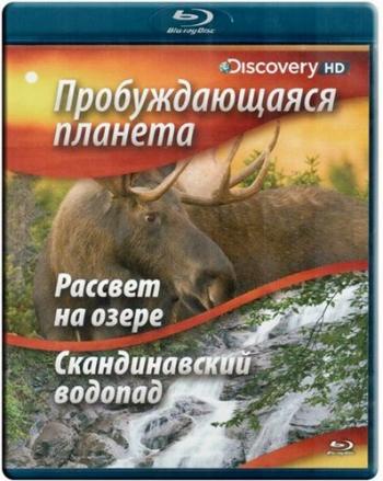 Пробуждающаяся планета: Рассвет на озере/ Скандинавский водопад / Sunrise Earth: Moose in the Morning & Scandinavian Waterfall VO