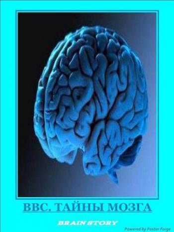 ВВС. Тайны мозга (6 Серий из 6) / Brain Story VO