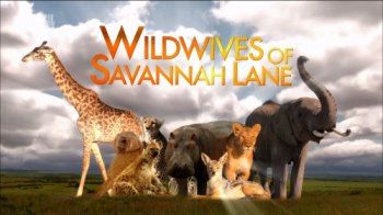 Свирепые дамы саванны Лейн -1 / Wild wives of Savannah Lane-1 VO