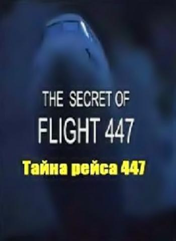 Тайна рейса 447 / The Secret of Flight 447 VO