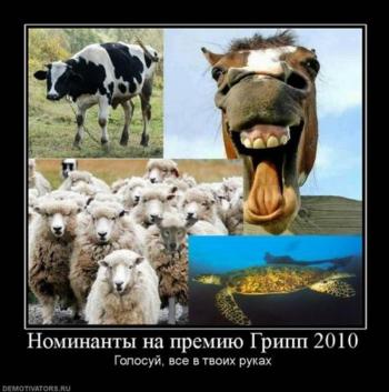 Демотиваторы которые заставляют задуматься