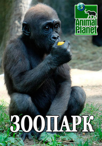 Зоопарк (2 сезон: 1-10 серий из 10) / The Bronx Zoo VO
