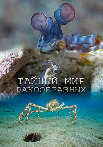Тайный мир ракообразных / The Secret World of Crustaceans DUB