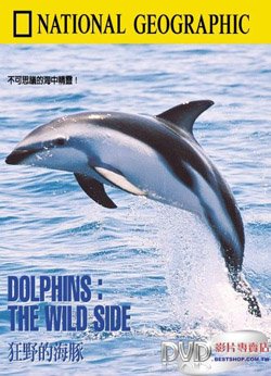 NG: Неукротимые дельфины / Dolphins. The wild side