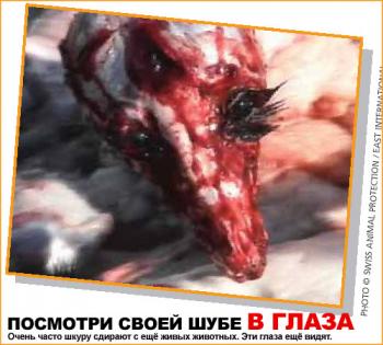 Правда о мясе и о мехе