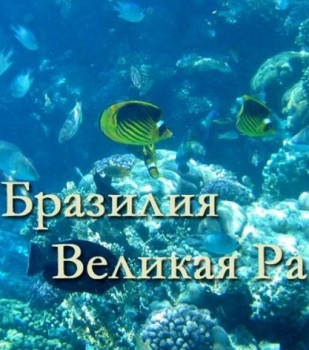 Мир подводной охоты (№5) .Бразилия.Великая Ра