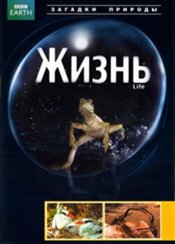 Life / Жизнь (10 серий из 10) VO