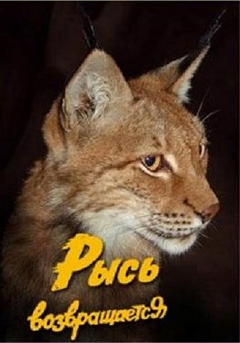 Постер Тропой бескорыстной любви Тропой бескорыстной любви