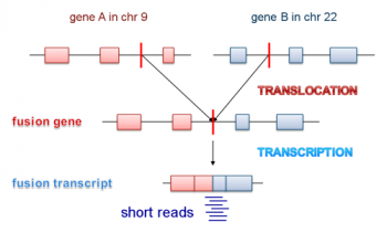 Генофьюжн / Gene-Fusion ENG