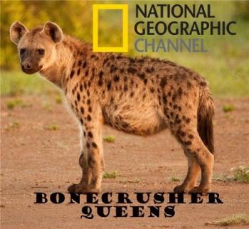 Гиена. Царица хищников / Bonecrusher Queens