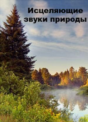 Исцеляющие звуки природы / Цілющі звуки природи / Escape to The Outback