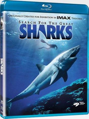 IMAX: В поисках больших акул / Search for the Great Sharks DVO + ENG
