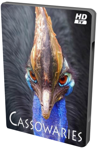 Казуары / Cassowaries MVO