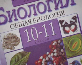 Гипотеза века