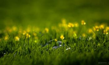 Природа