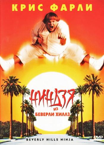 Ниндзя из Беверли Хиллз / Beverly Hills Ninja MVO