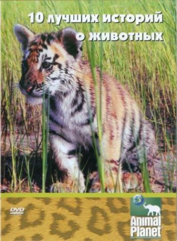 10 лучших историй о животных / Jack hanna's top ten animal experiences VO