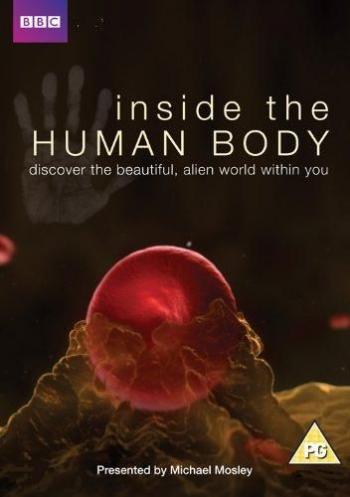 BBC: Внутри человеческого тела (1-4 серии из 4) (1 сезон) / BBC: Inside the Human Body VO