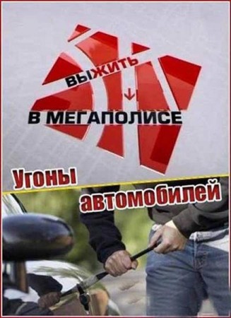 Выжить в мегаполисе. Угоны автомобилей