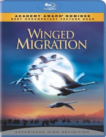 Птицы-кочевники / Winged Migration / Le peuple migrateur VO