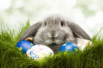 Обои для рабочего стола - Пасха / Easter Wallpapers