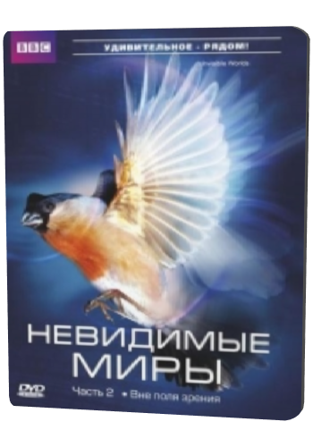 BBC: Невидимые миры (3 серии из 3) / BBC: Richard Hammond's Invisible Worlds DVO