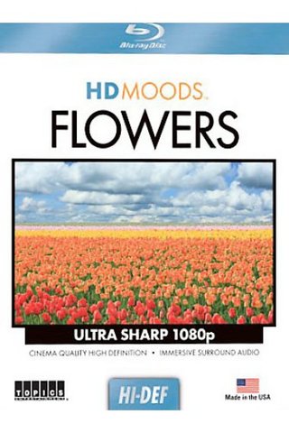 Цветы / HD Moods: Flowers