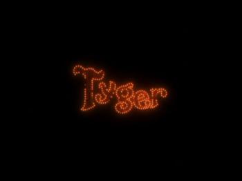 Тигр / Tyger Маркондес)
