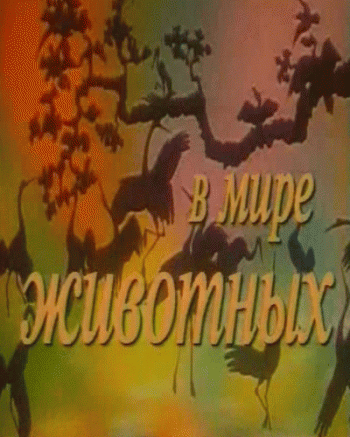 В мире животных с Николаем Дроздовым