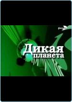Дикая планета (1 - 101 серии) / Animal Planet