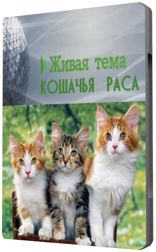 Живая тема. Кошачья раса
