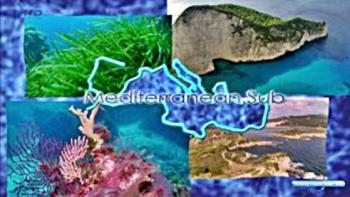 Средиземноморье. Мальта / Mediterranean. Sub VO