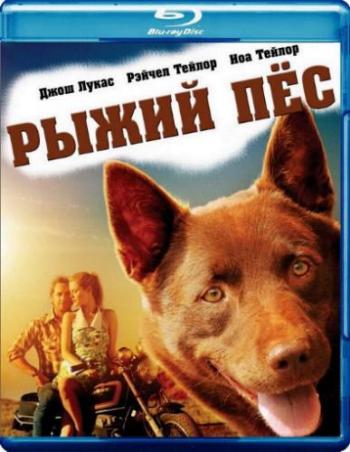 Рыжий пес / Red Dog MVO+DVO