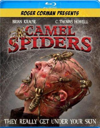 Верблюжьи пауки / Camel Spiders MVO