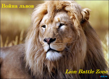Война львов / National Geographic: Lion Battle Zone VO