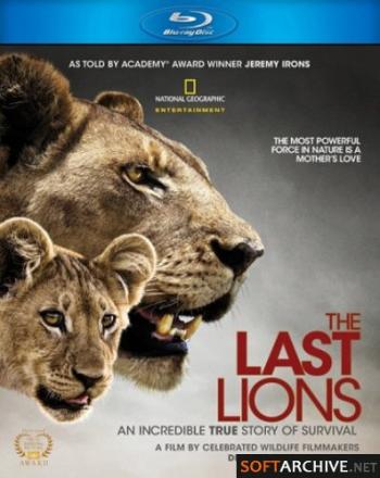 Последние львы / The Last Lions VO