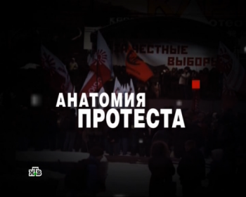 Чрезвычайное происшествие. Расследование. Анатомия протеста