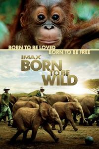 IMAX: Рожденные на воле / IMAX: Born to Be Wild DVO