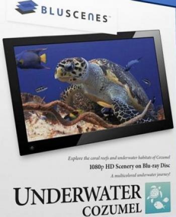 BluScenes: Подводный мир Косумель / BluScenes: Underwater Cozumel