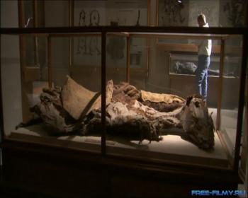 National Geographic: Таинственные мумии Китая / National Geographic: China's Mystery Mummies VO