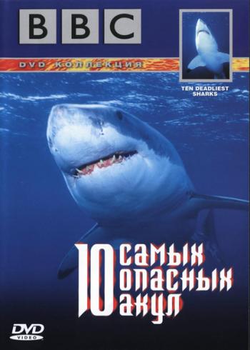 BBC: 10 самых опасных акул / BBC: Ten Deadliest Sharks VO