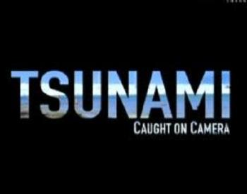 Цунами. Глазами очевидцев / Tsunami. Caught on camera