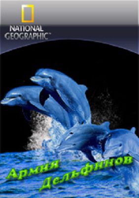 Армия дельфинов / Dolphin Army