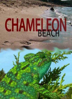 Пляж хамелеонов / Chameleon beach