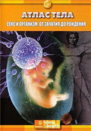 Discovery. Атлас тела: Секс и организм / Body atlas: Sex. In the womb