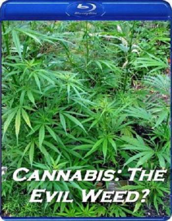 Конопля: вредная трава? / BBC Cannabis: The Evil Weed?