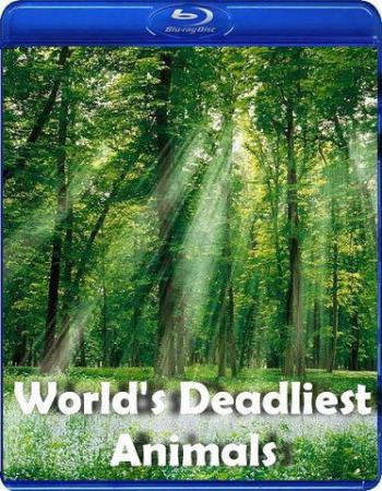 Самые опасные животные: Оружие хищников / World's deadliest: Predator weapons
