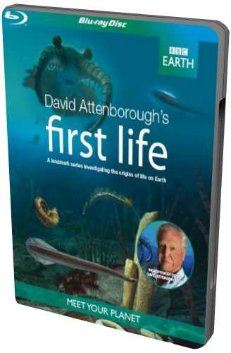 BBC: Первая жизнь (2 серии из 2) / First Life AVO