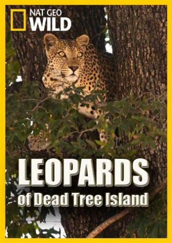 Леопарды дельты Окаванго / Leopards of Dead Tree Island VO