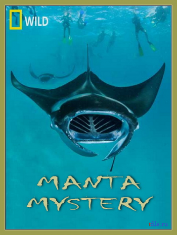 Тайна Морского Дьявола / Manta Mystery VO
